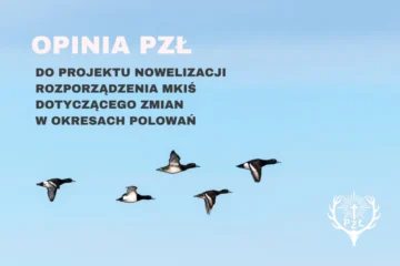 Opinia Polskiego Związku Łowieckiego w sprawie projektu zmian okresów polowań
